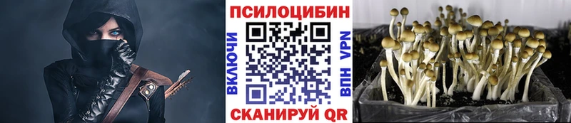 Галлюциногенные грибы Psilocybe Юрьев-Польский
